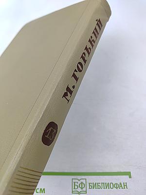 Жизнь Клима Самгина. Собрание сочинений. Том 13