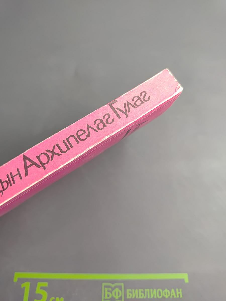 Архипелаг ГУЛАГ. Том второй. Часть третья. Главы 1-11