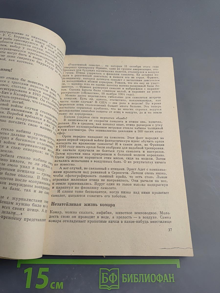 Причуды природы