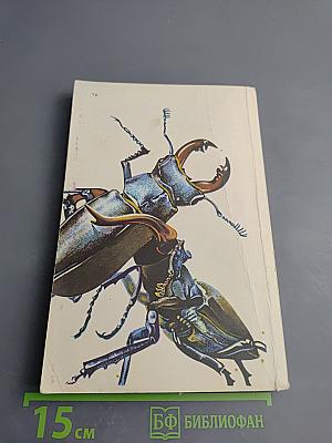 Причуды природы