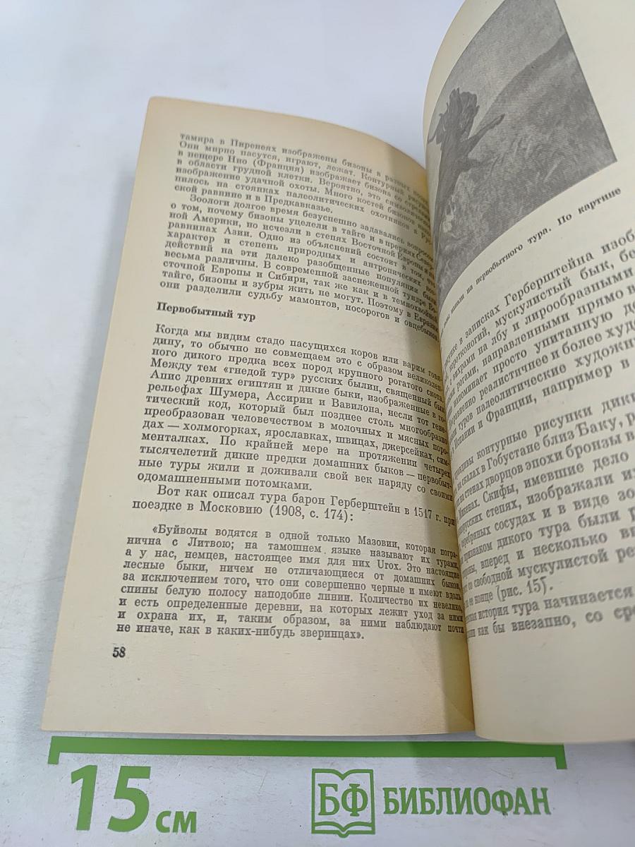 Почему вымерли мамонты