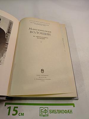 Максимилиан Волошин. Из литературного наследия
