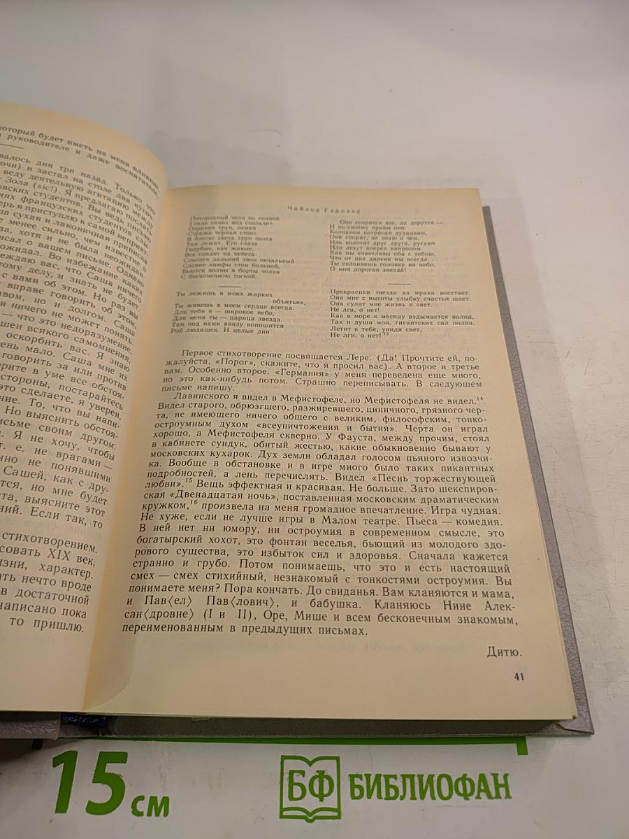 Максимилиан Волошин. Из литературного наследия