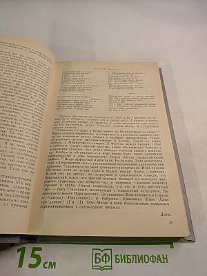 Максимилиан Волошин. Из литературного наследия