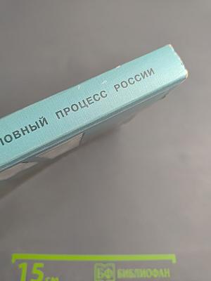 Уголовный процесс России. Общая часть и досудебные стадии (Курс лекций)