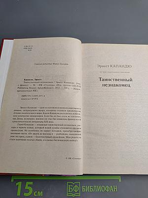 Таинственный незнакомец