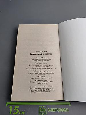 Таинственный незнакомец