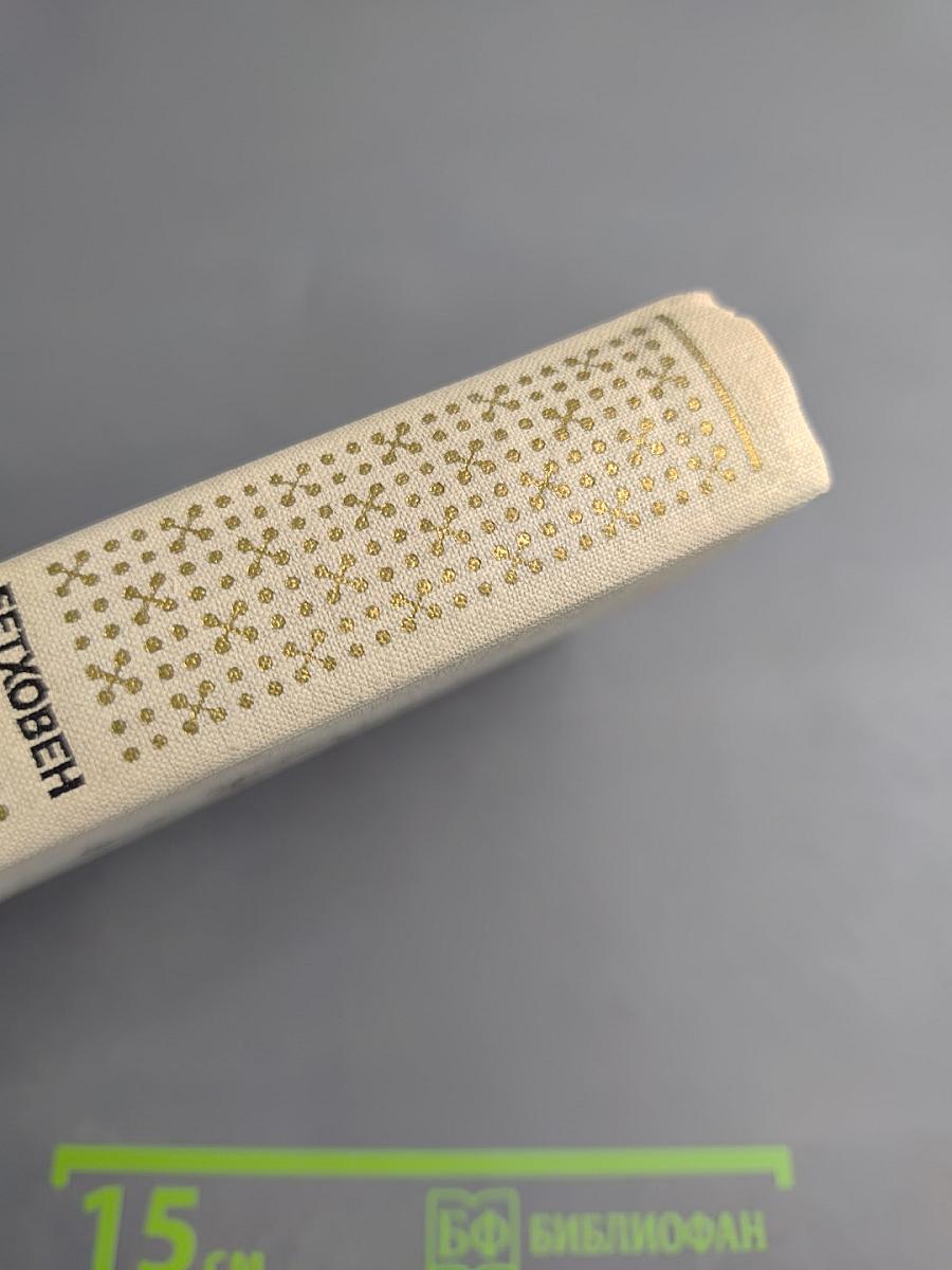 Людвиг ван Бетховен. Очерк жизни и творчества