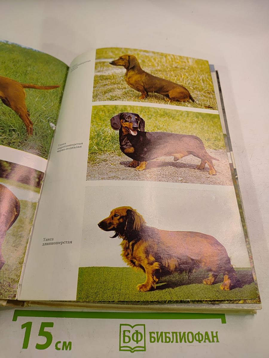 Атлас пород собак