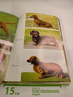 Атлас пород собак