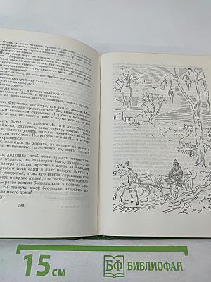 Собрание сочинений. Том пятый: История Ности-младшего и Марги Тоот