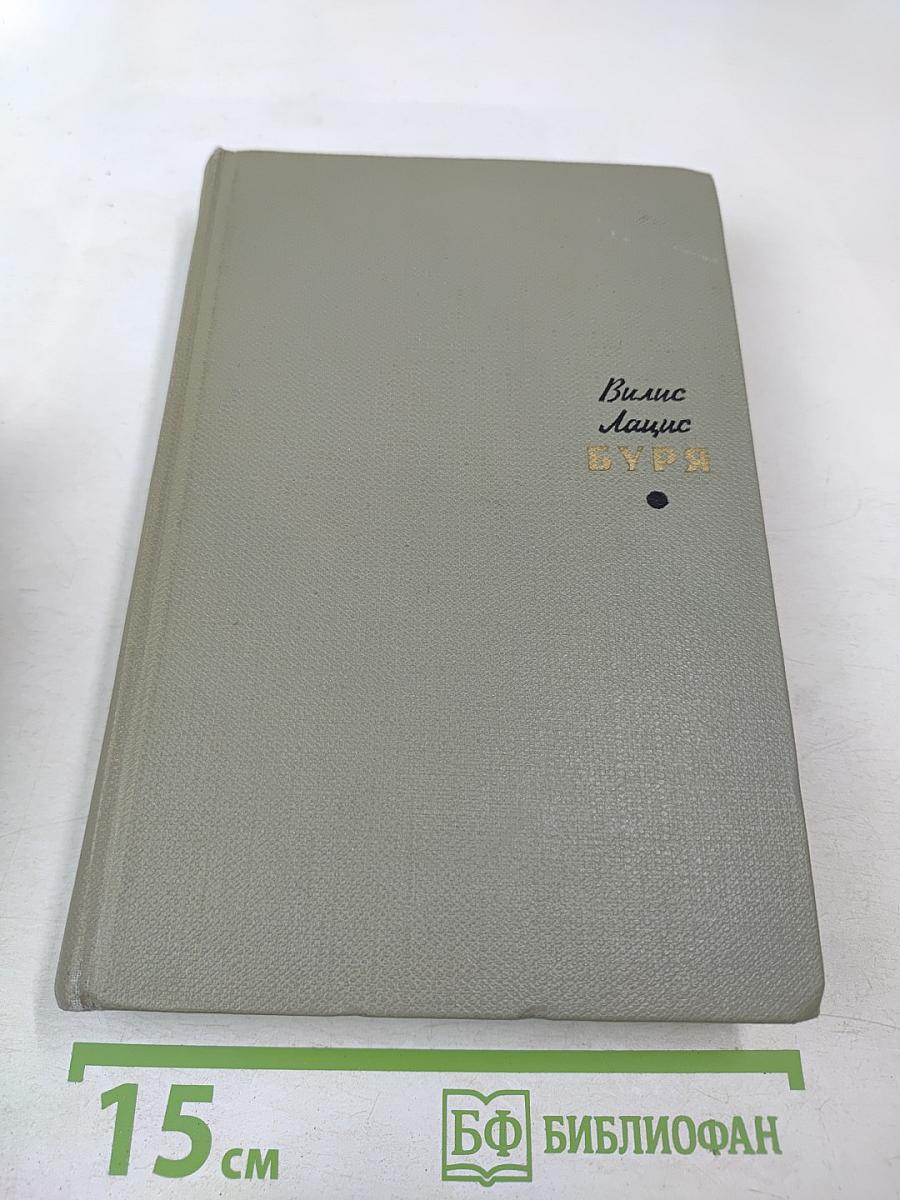 Буря. Том второй