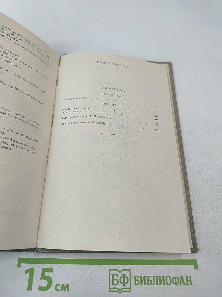 Буря. Том второй