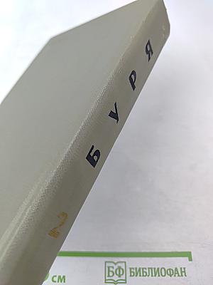 Буря. Том второй