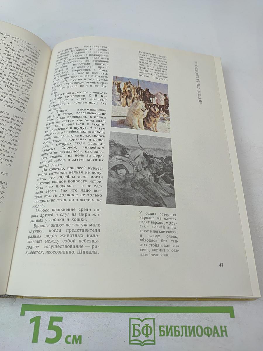 Создано человечеством