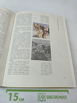 Создано человечеством