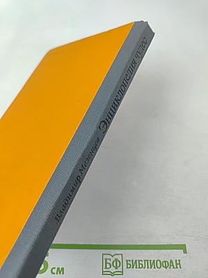 Энциклопедия чудес. Книга первая. Обычное в необычном