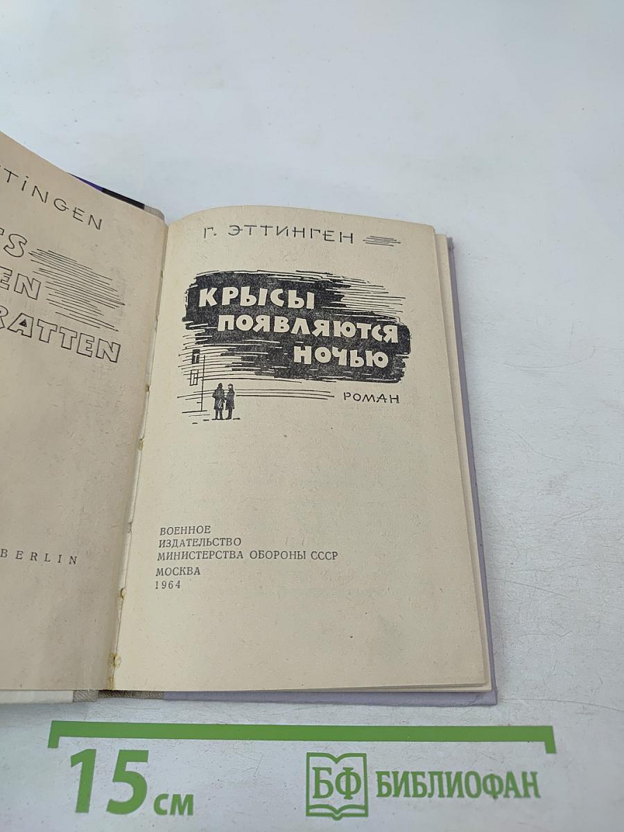 Крысы появляются ночью