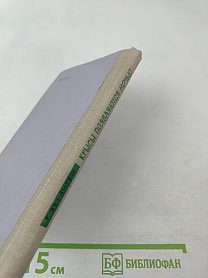 Крысы появляются ночью