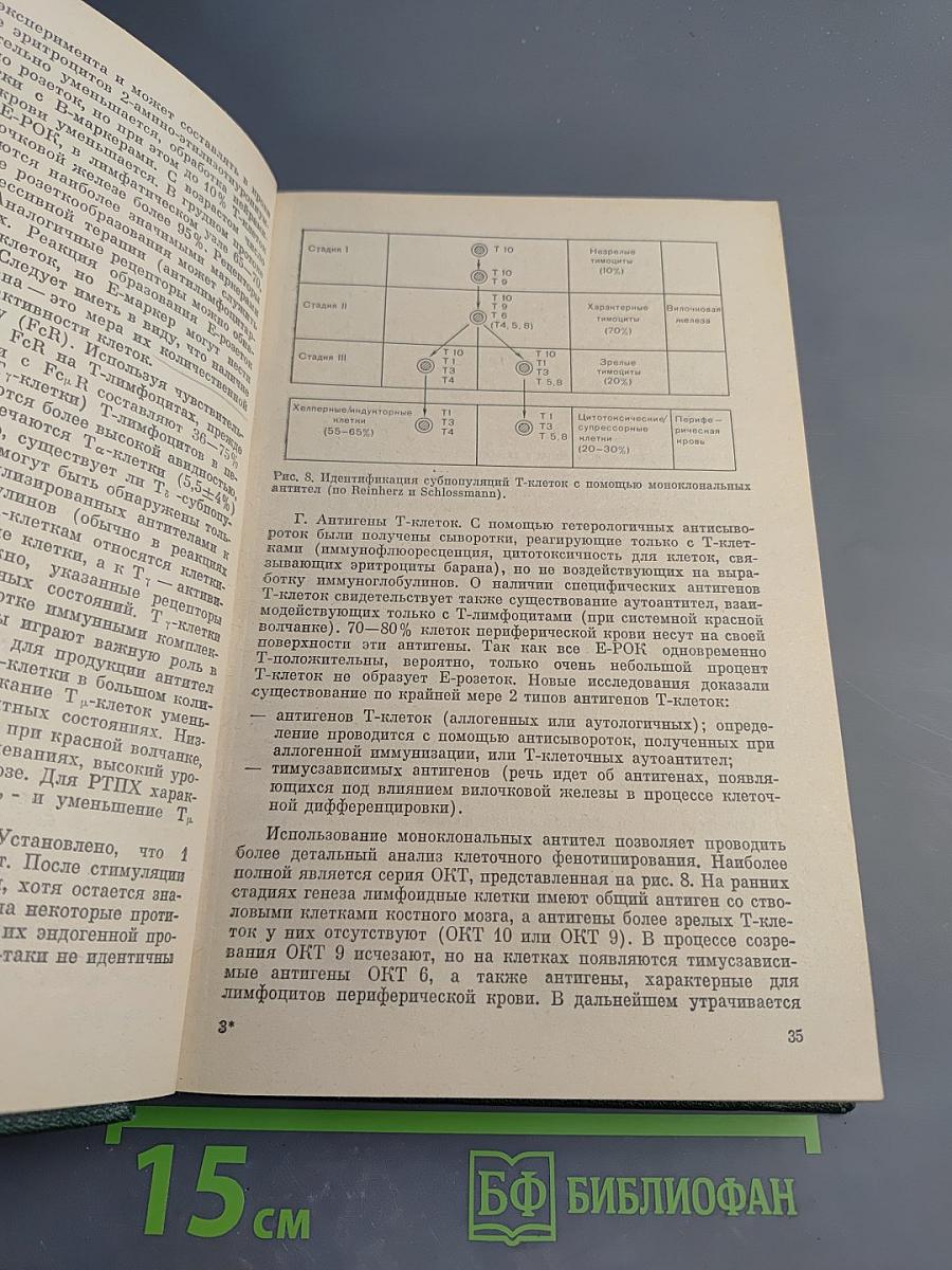 Клиническая иммунология и аллергология, Том 1