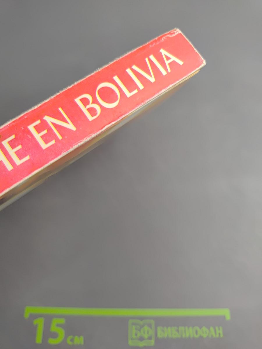 El diario del che en bolivia
