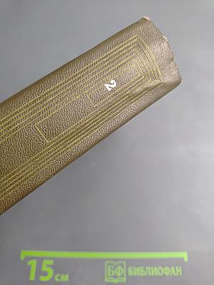 Соль земли. Том второй