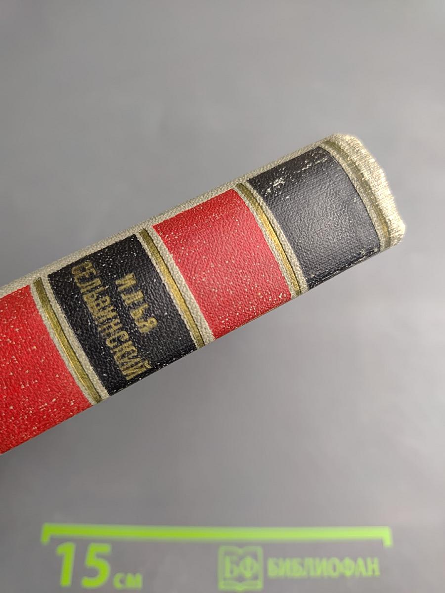 Избранные произведения. Том первый. Стихотворения. Поэмы