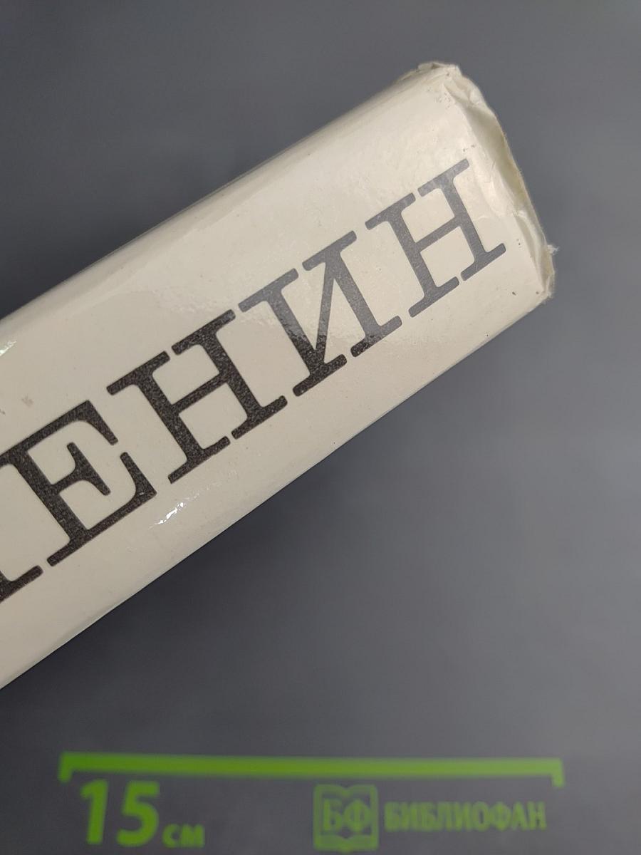 Владимир Ильич Ленин. Биография. Издание четвертое