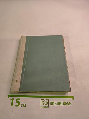 Два товарища