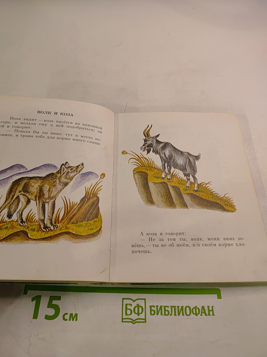 Два товарища