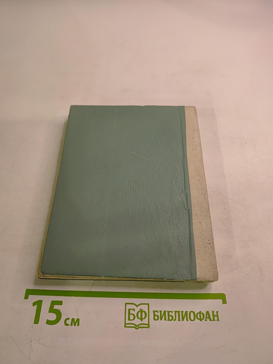 Два товарища