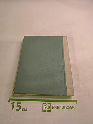 Два товарища