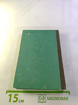 Повесть о Федоте Шубине