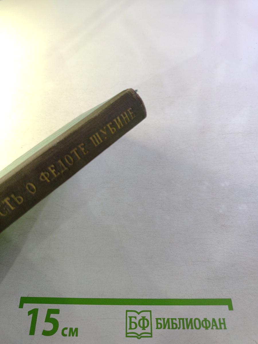 Повесть о Федоте Шубине