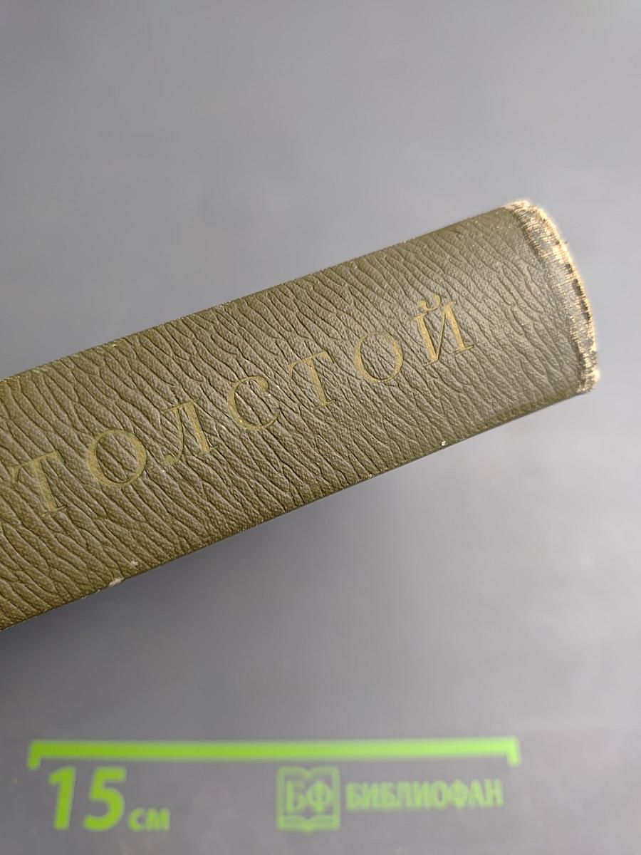 Собрание сочинений. Том шестнадцатый. Публицистические произведения 1853–1909 гг.