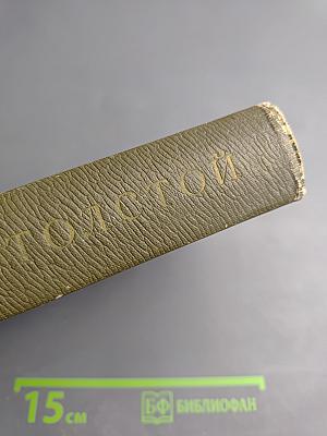 Собрание сочинений. Том шестнадцатый. Публицистические произведения 1853–1909 гг.