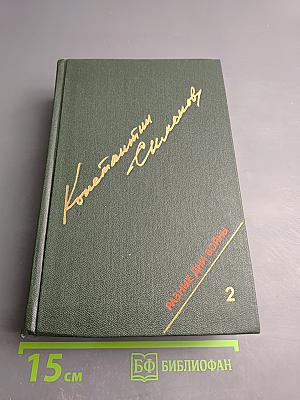 Разные дни войны. Дневник писателя. Том II