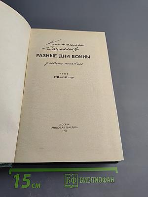 Разные дни войны. Дневник писателя. Том II