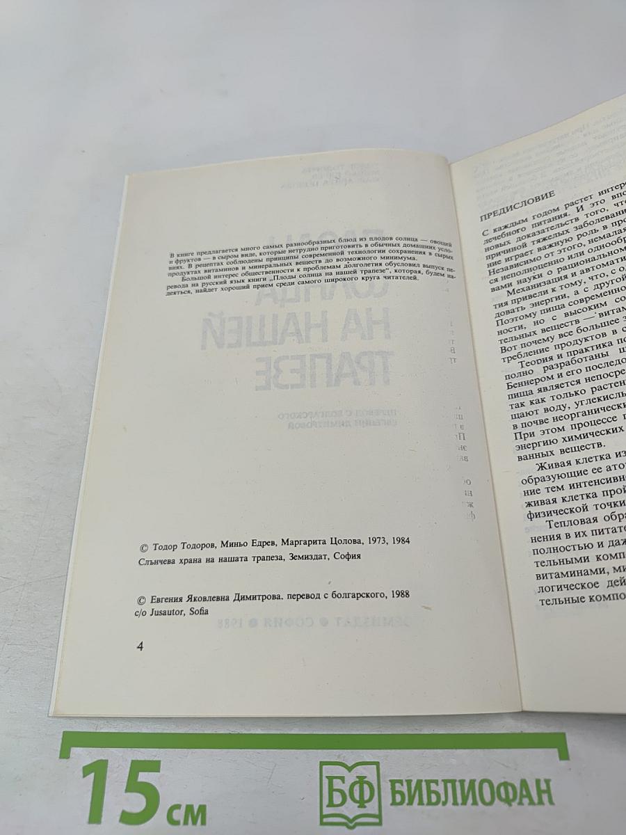 Плоды солнца на нашей трапезе