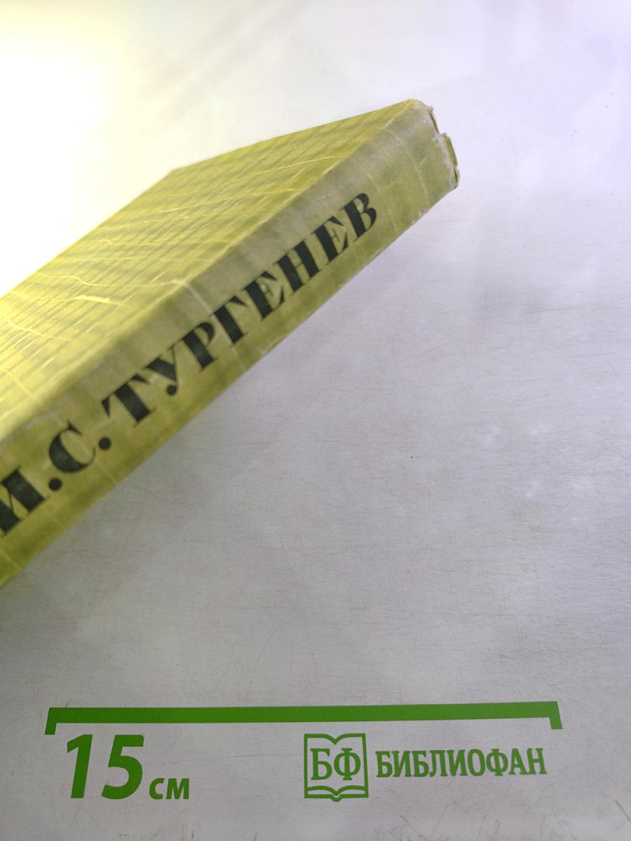 Собрание сочинений. Том четвертый. Дым. Новь