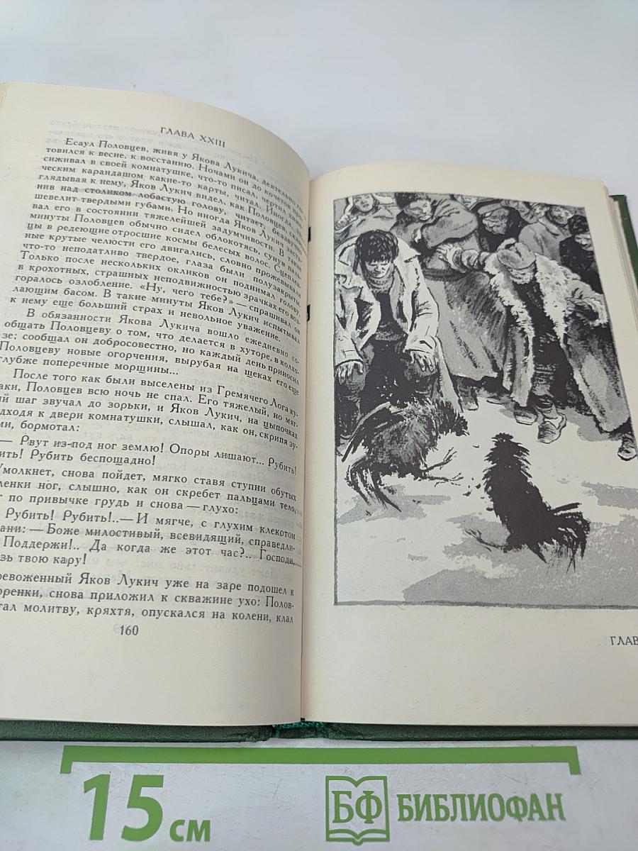 Поднятая целина. Книга первая (Собрание сочинений в восьми томах. Том 5)