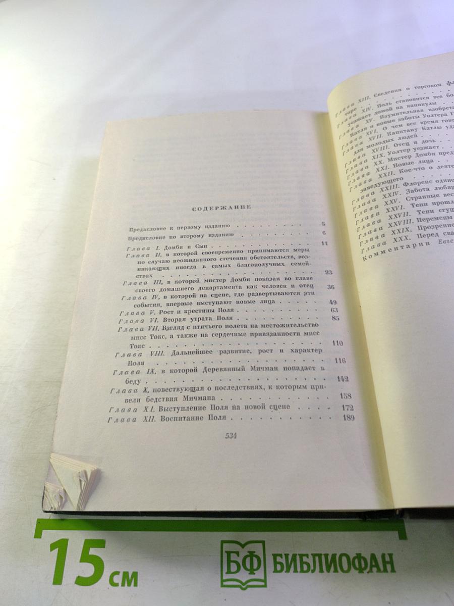 Собрание сочинений. Том тринадцатый. Торговый дом Домби и сын