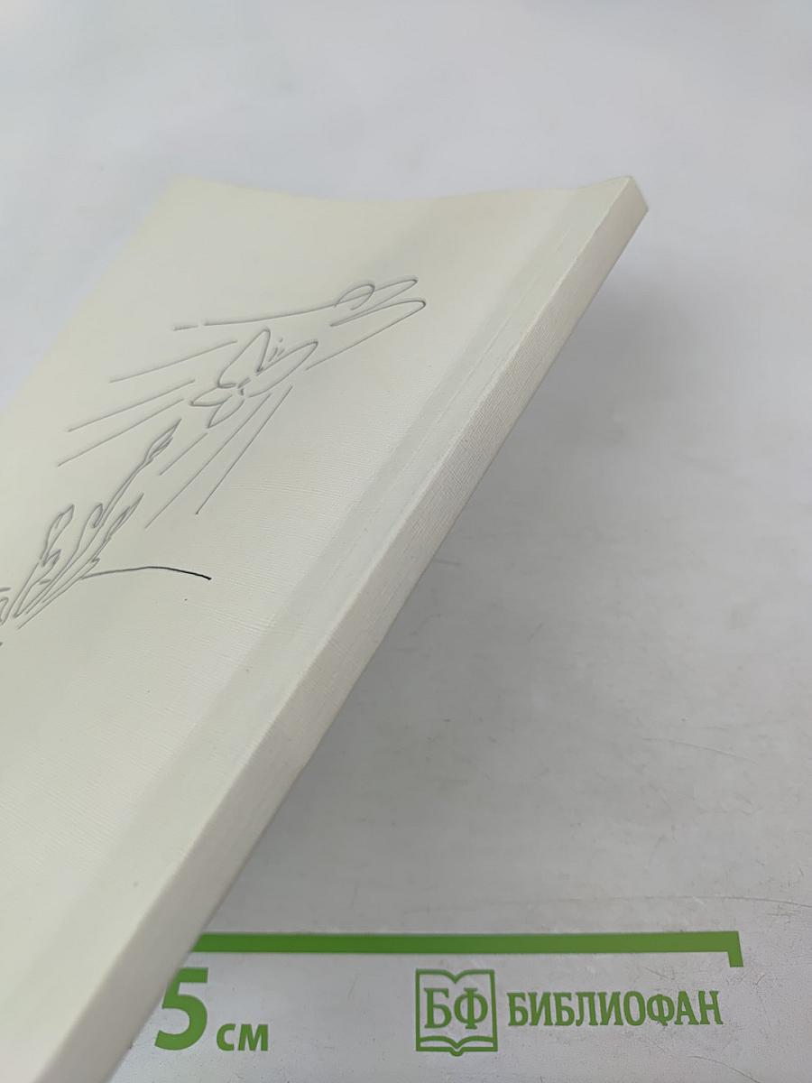 Нить паутинки. Книга избранных стихов