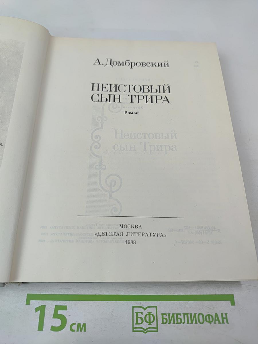 Неистовый сын Трира