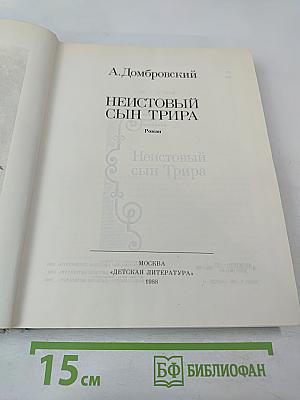 Неистовый сын Трира