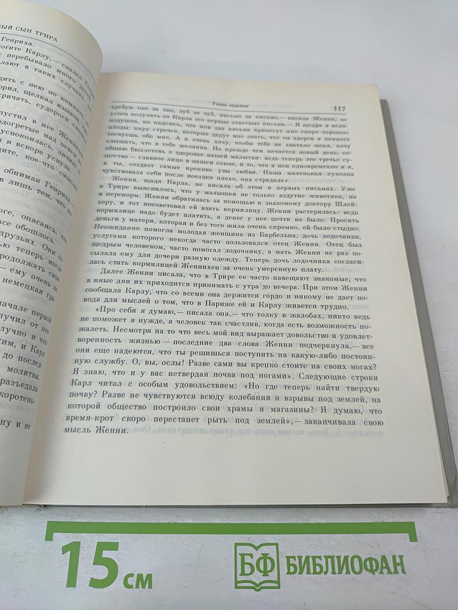 Неистовый сын Трира