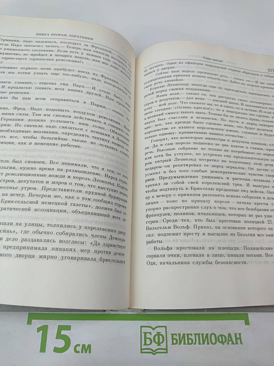 Неистовый сын Трира