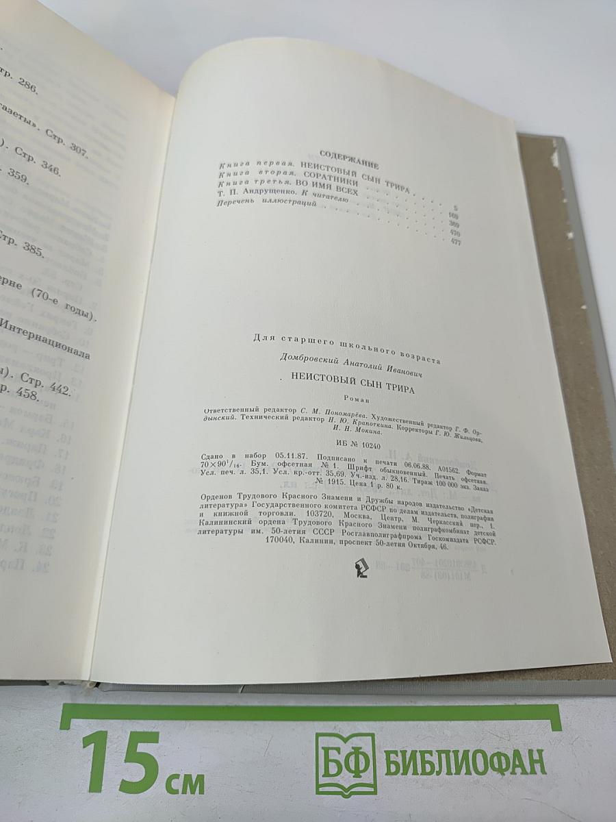 Неистовый сын Трира