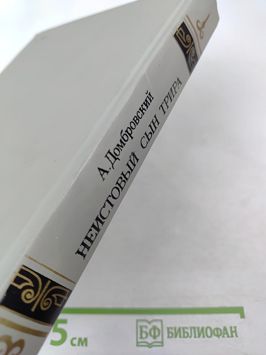 Неистовый сын Трира