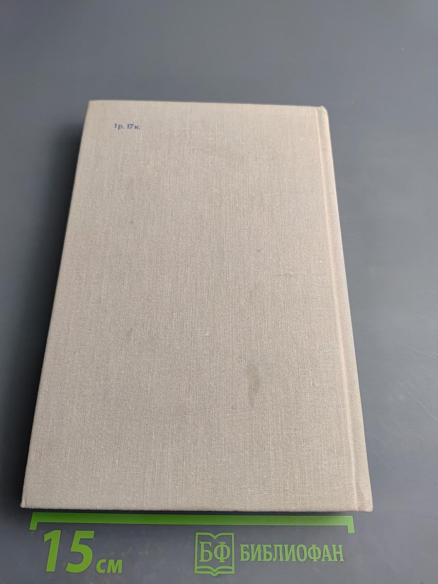 В час дня, ваше превосходительство... Том второй